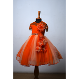 Vibrant Orange Velvet & Net Family Matching Outfit Set