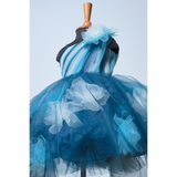 Royal Blue & Teal Designer Family Combo Set