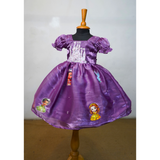 Royal Princess Theme Party Dresses for Girls