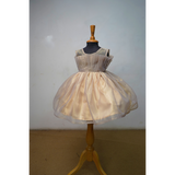 Girls Designer Party Wear Tulle Frock with Ruffle Sleeves & Gold Detailing