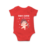 Cupid Family Trio Pack