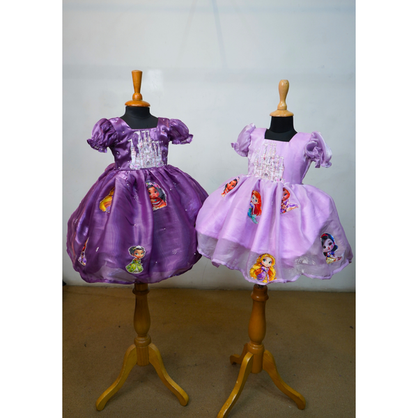 Royal Princess Theme Party Dresses for Girls
