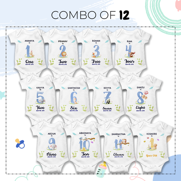 A Onesie For Every Month | 12-Month Personalized Monthly Baby Onesie Combo Pack