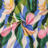 Fruit Splash Stories Family Package