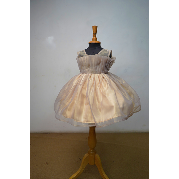 Girls Designer Party Wear Tulle Frock with Ruffle Sleeves & Gold Detailing