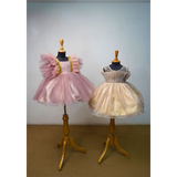 Girls Designer Party Wear Tulle Frock with Ruffle Sleeves & Gold Detailing