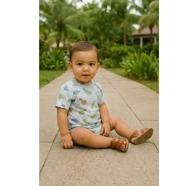 Dinosaur Printed Baby Romper