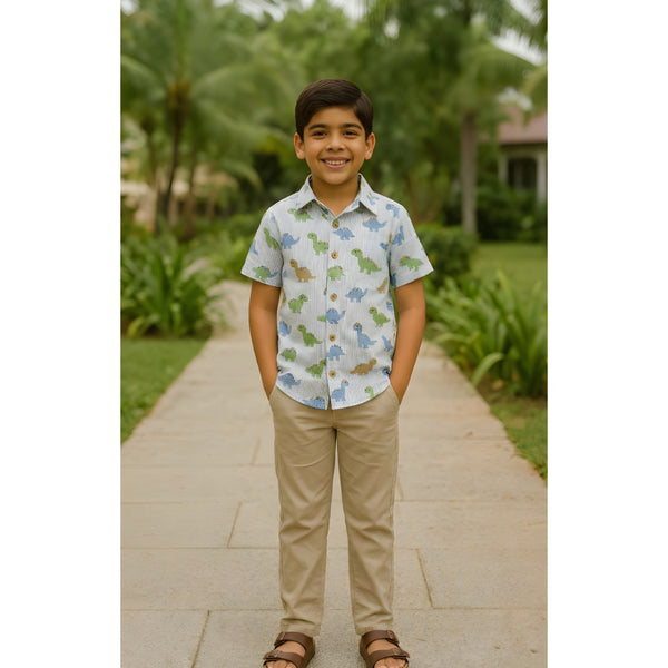 Dinosaur Printed Boy Kid Shirt