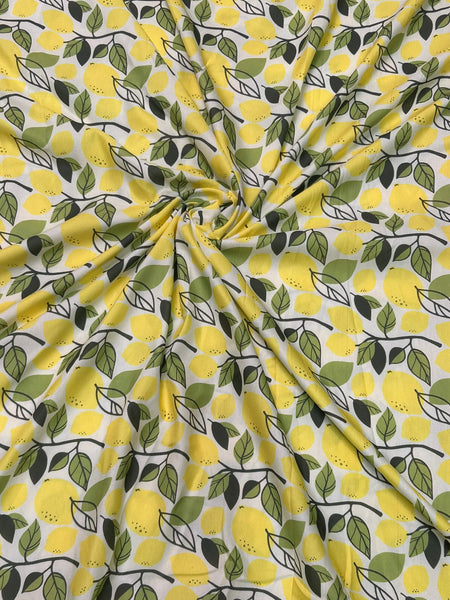 Lemon Zest Family Outfit Set