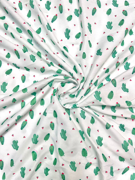 Desert Cactus Family Matching Outfit Set