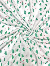 Desert Cactus Family Package