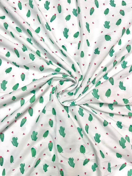 Desert Cactus Family Package