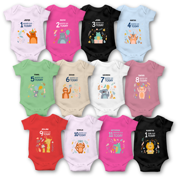 "12-Month Newborn Onesie Customization Bundle"