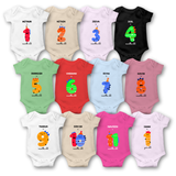 "12-Month Milestone Romper Package"