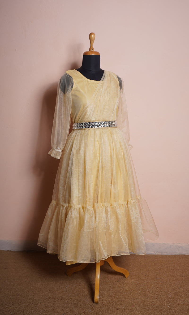 Gold Plain net With Stone belt in Womens Receptiopn Dress