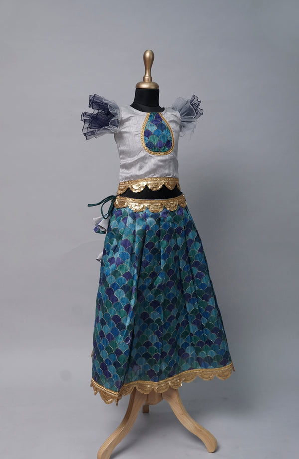 Peacock Theme Custom Made Kid Dress