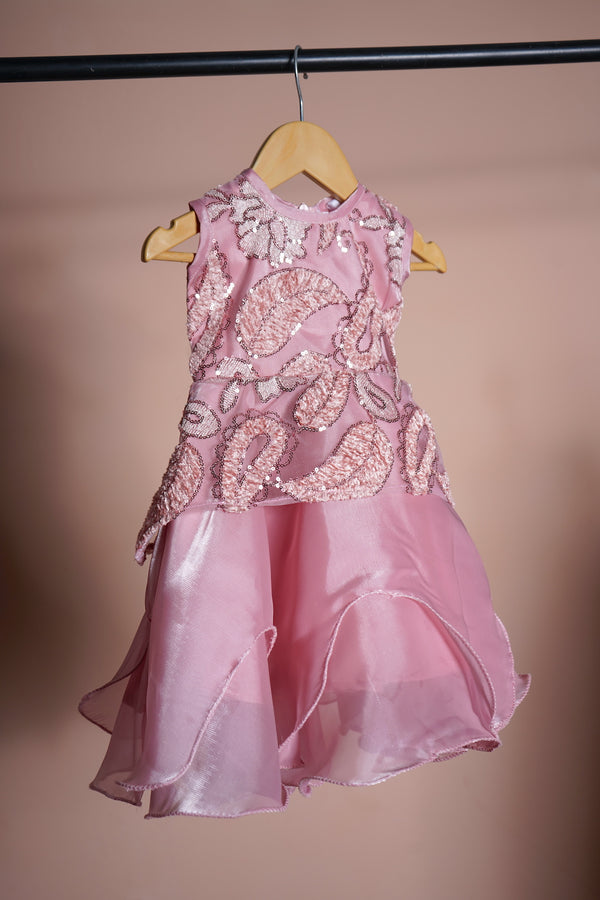 Lilac Fancy Embroidery net and Organza Girl kid First Birthday Wear